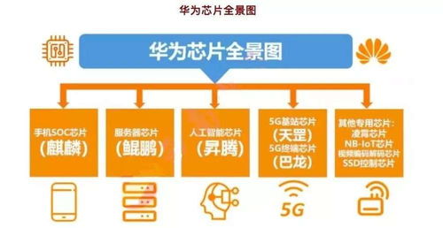 華為鴻蒙雙喜臨門，系統生態與運維服務并進，2023年科技領域“王者歸來”信號顯現