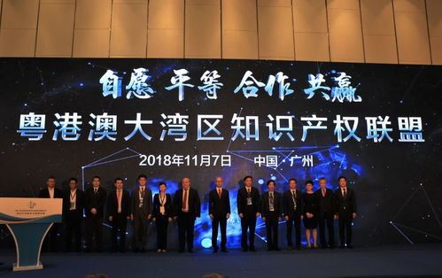 成立粵港澳大灣區知識產權聯盟 黃埔區廣州開發區為企業創新發展賦能